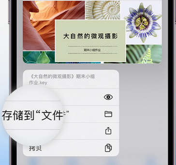 勉县apple维修中心分享iPhone文件应用中存储和找到下载文件