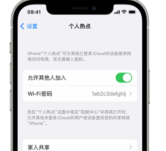 勉县apple服务站点分享iPhone上个人热点丢失了怎么办 