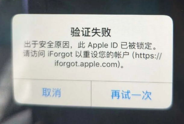 勉县iPhone维修分享iPhone上正常登录或使用AppleID怎么办 