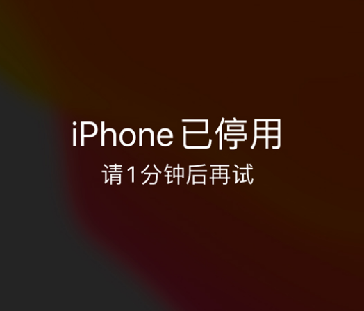 勉县苹果手机维修分享:iPhone 显示“不可用”或“已停用”怎么办？还能保留数据吗？ 