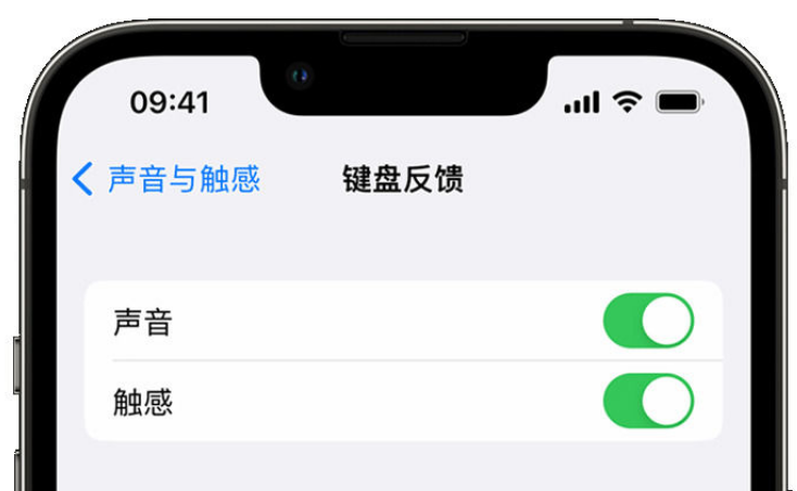 勉县苹果手机维修分享iPhone 14触感键盘使用方法 