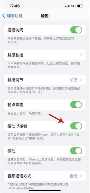 勉县苹果手机维修分享iPhone手机如何设置摇一摇删除文字 