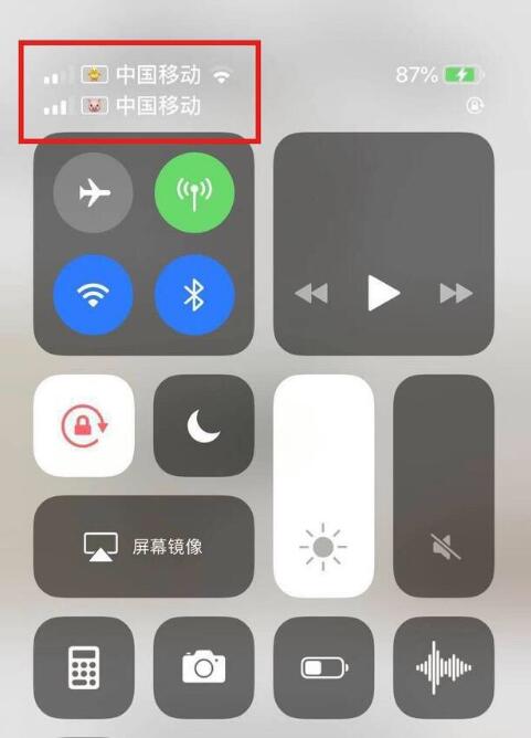 勉县苹果手机维修分享为 iPhone 12 双卡设置标签 